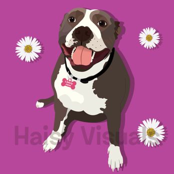 Haisy Visuals - Here is a pet portrait for my amazing aunt! - Graphic Design Near Me