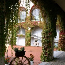 Schlossrestaurant Hagenberg - Schlossrestaurant Hagenberg
