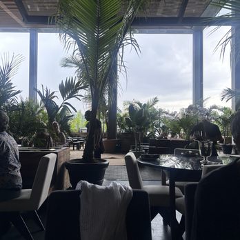 Gitano - Picturesque scenery - New Mexican Cuisine Near Me - New York, New York Gitano - Picturesque scenery - New Mexican Cuisine Near Me - New York, New York