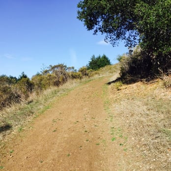 Samuel P Taylor State Park - Lots of great trails - Parks Near Me - Lagunitas, California Samuel P Taylor State Park - Lots of great trails - Parks Near Me - Lagunitas, California