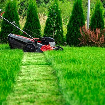 Waco Yardworx - Grass Cutting Examples - Lawn Services Near Me Waco Yardworx - Grass Cutting Examples - Lawn Services Near Me