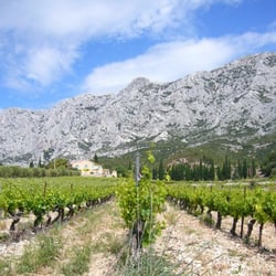 La Sainte Victoire depuis la route vers Puyloubier