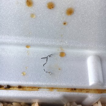 Reggae Fusion - Metal wire in my food - Caribbean Near Me - Mississauga, Ontario Reggae Fusion - Metal wire in my food - Caribbean Near Me - Mississauga, Ontario