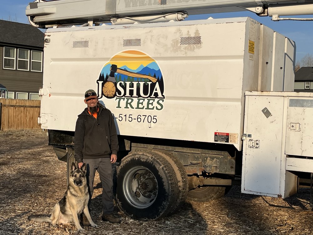 Joshua Trees Tree Removal Services - tree service in Boise City, ID