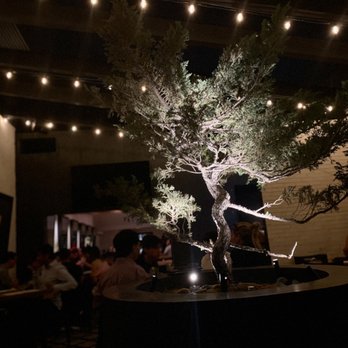 Taisho - Back room ambiance - Sushi Bars Near Me - Sherman Oaks, California