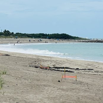 Porpoise Beach Access - Sea turtles nests. - Beaches Near Me - Fort Pierce, Florida Porpoise Beach Access - Sea turtles nests. - Beaches Near Me - Fort Pierce, Florida