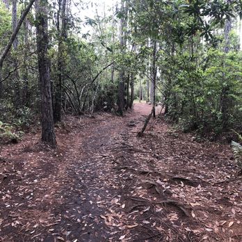 Tibet-Butler Preserve - Easy trails - Parks Near Me - Orlando, Florida Tibet-Butler Preserve - Easy trails - Parks Near Me - Orlando, Florida