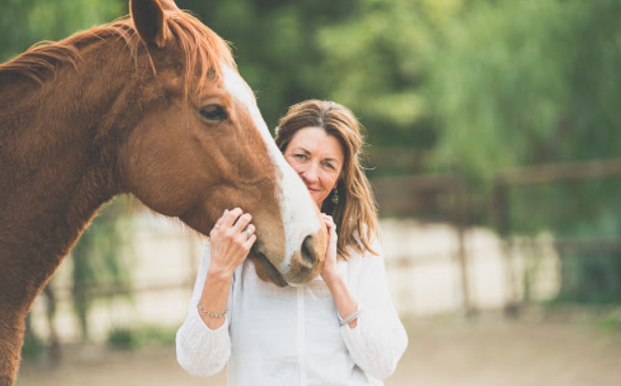 Horse, Heart & Connection Logo
