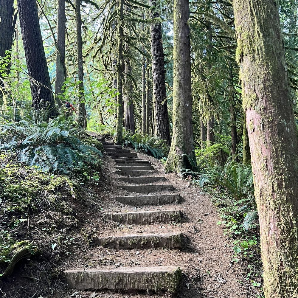 Soapstone Lake Trail - Soapstone Lake Trail - Hiking Near Me - Seaside, Oregon Soapstone Lake Trail - Soapstone Lake Trail - Hiking Near Me - Seaside, Oregon