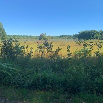 Borderland State Park - Shaded - Parks Near Me - North Easton, Massachusetts