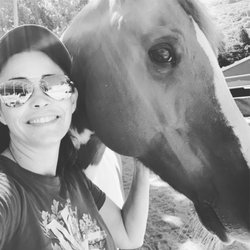 Juli M Caruso - Equine assisted therapy available in San Ramon http://julimcarusolmft.com