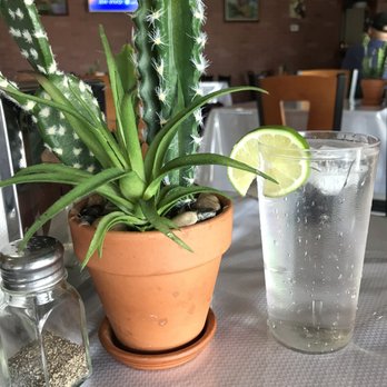 Los molcajetes - Mexican Near Me - Edison, New Jersey