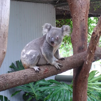Birdland Animal Park - Travel Services Near Me - Batemans Bay, NSW Birdland Animal Park - Travel Services Near Me - Batemans Bay, NSW