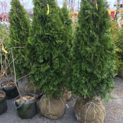 Brick's Garden Center