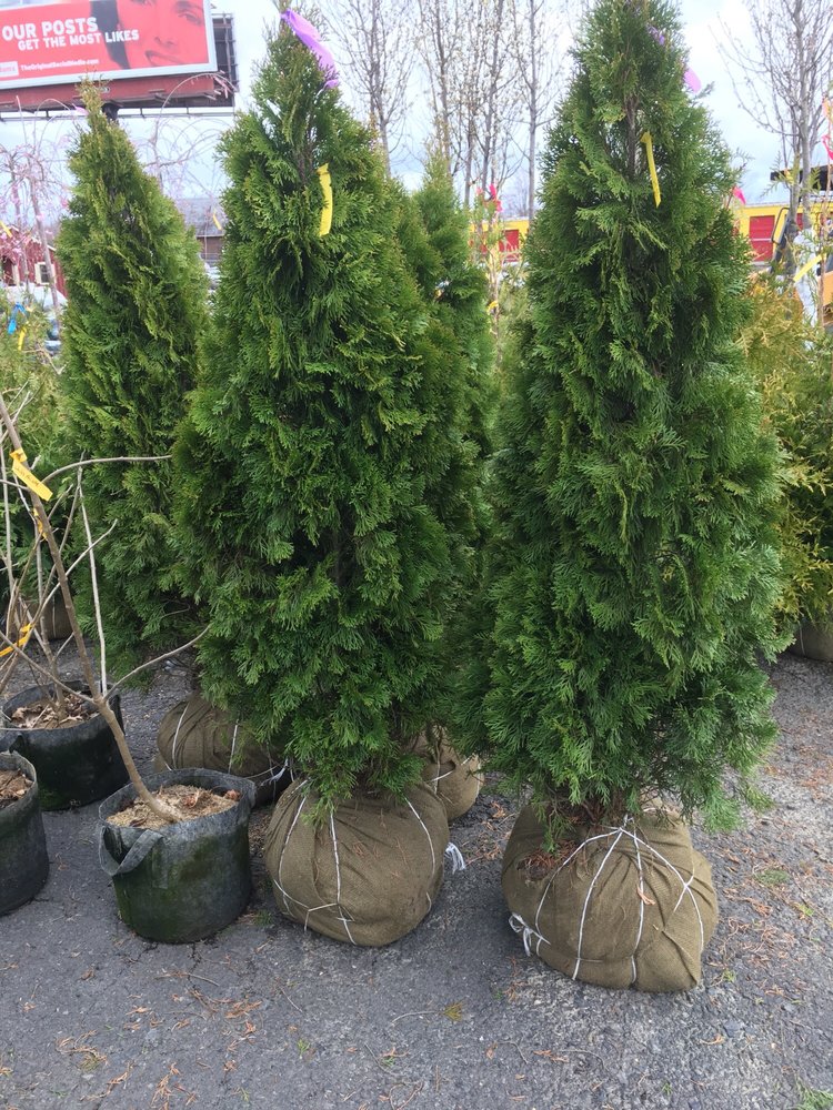 BRICK’S GARDEN CENTER Home & Garden 1200 SW End Blvd, Quakertown