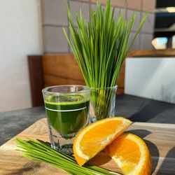Raw Organic Juice Bar