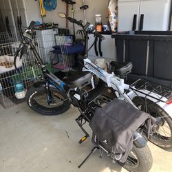 Cycle Haus - Lectric Bikes