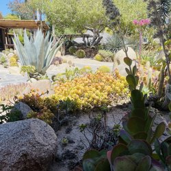 The garden area