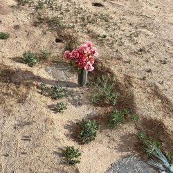 Memory Gardens of the Valley - Terrible conditions for a cemetery