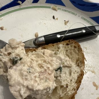 Daily Provisions - String in my tuna salad. Please contact me DP this is bad. - Cafes Near Me - New York, New York Daily Provisions - String in my tuna salad. Please contact me DP this is bad. - Cafes Near Me - New York, New York