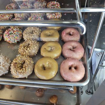 Maple Leaf Donuts - Today's Selections - Donuts Near Me - Fremont, California Maple Leaf Donuts - Today's Selections - Donuts Near Me - Fremont, California