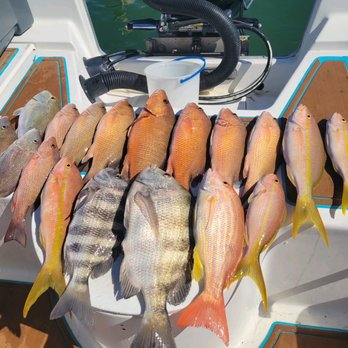 Chasin' Tail Fishing Charters - Fishing Near Me Chasin' Tail Fishing Charters - Fishing Near Me