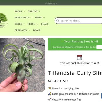 TN Nursery - Plant I bought and was supposed to get. - Nurseries & Gardening Near Me - Altamont, Tennessee