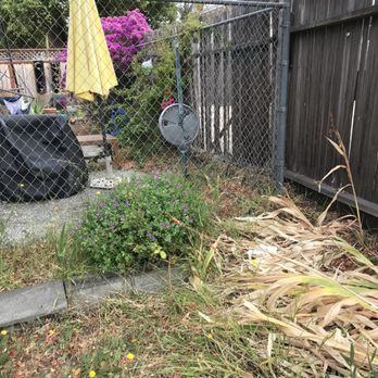 Four Dimensions Landscape - Before: Front yard separated from patio. - Landscaping Near Me - Oakland, California