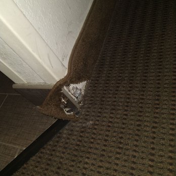 Sleep Inn & Suites Topeka West I-70 Wanamaker - Torn carpet near the bathroom and filthy walls and carpet - Hotels Near Me - Topeka, Kansas Sleep Inn & Suites Topeka West I-70 Wanamaker - Torn carpet near the bathroom and filthy walls and carpet - Hotels Near Me - Topeka, Kansas