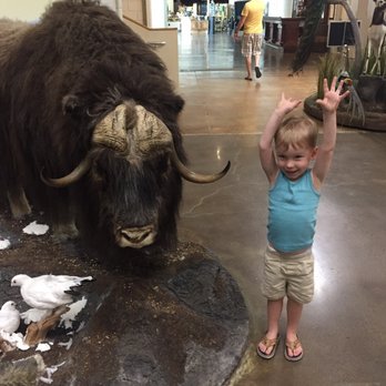 Northeastern Nevada Museum - This animal is so tall! - Museums Near Me - Elko, Nevada
