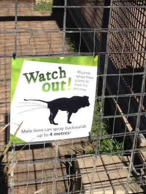 Adelaide Zoo by null