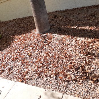 Heywood Community Management - Front of my house.  Its looks like a ware zone.   I have lived at Villa Las Palmas for 30 years and goos service has been going down - Property Management Near Me - Gilbert, Arizona