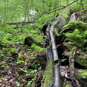 Shades State Park - Parks Near Me - Waveland, Indiana