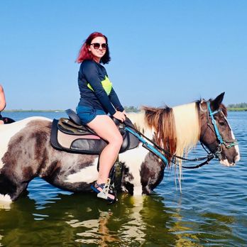 C Ponies Beach Horseback Rides - Horseback Riding Near Me - Bradenton, Florida C Ponies Beach Horseback Rides - Horseback Riding Near Me - Bradenton, Florida