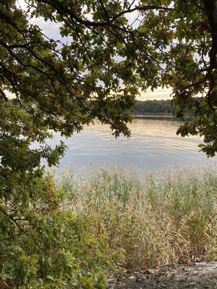 Brunnsvikens strandbad