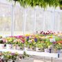 Photo of Riverside Greenhouse