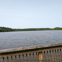 Stumpy Lake Natural Area - View