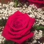 Photo of That Special Touch Floral Shop