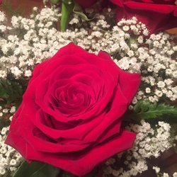 That Special Touch Floral Shop - Thy special touch really rose above