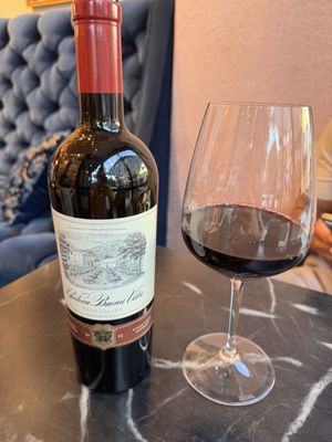 Chateau Buena Vista by null