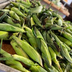 Stahl's Farm Market