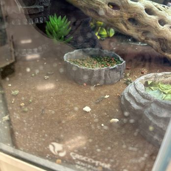 PetSmart - Pet Training Near Me - Las Vegas, Nevada PetSmart - Pet Training Near Me - Las Vegas, Nevada