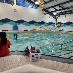 Charlotte Aquatics - The Pool!