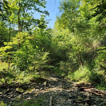 Tiffany Falls - Hiking Near Me - Hamilton, Ontario Tiffany Falls - Hiking Near Me - Hamilton, Ontario
