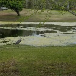 Olde Point Golf and Country Club - 6th green and pond