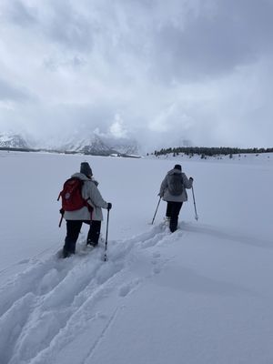 Jackson Hole EcoTour Adventures by null