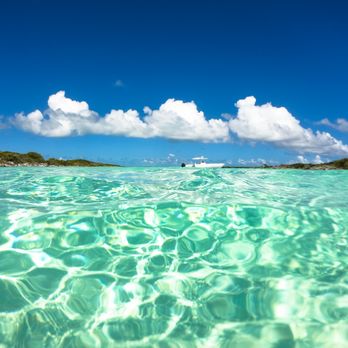 Miami Royal Vacation - We know all the best swimming spots! - Boat Charters Near Me - Miami, Florida