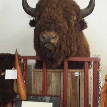 The Stuffology Store - This guy...watching from the back of the store. - Antiques Near Me - Llano, Texas The Stuffology Store - This guy...watching from the back of the store. - Antiques Near Me - Llano, Texas