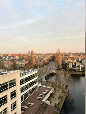 Hilton Amsterdam by null