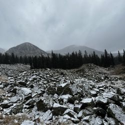 Williams Lake Trail - Fresh snow on the trail